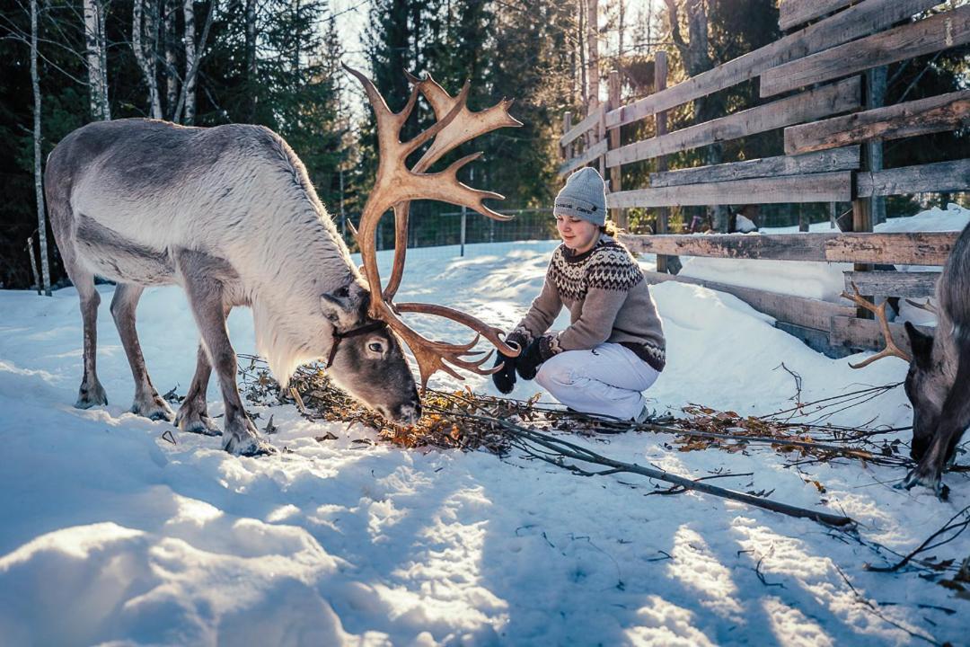 Ähtäri Valkeisen Lomaヴィラ エクステリア 写真